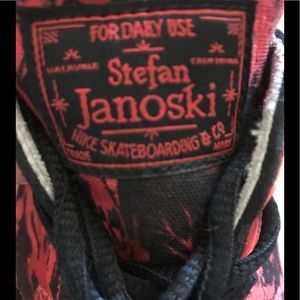Nike Skateboard Red Shoes